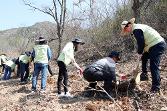 첨부 이미지: 20190404 사랑의 나무심기 행사2.JPG