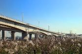 첨부 이미지: 20131022 오송고가(호남고속)1.JPG
