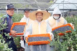 첨부 이미지: 20220614 1사1촌 농촌봉사활동5