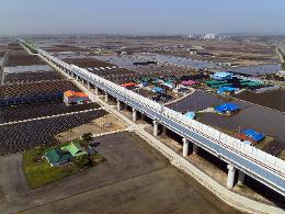 첨부 이미지: 20220427 대포고가(서해선)4