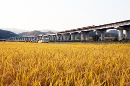 첨부 이미지: 091014매월천교(중앙선)6