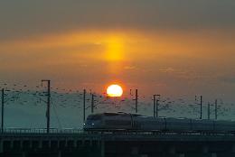 첨부 이미지: 20031205 오송교(경부고속)20